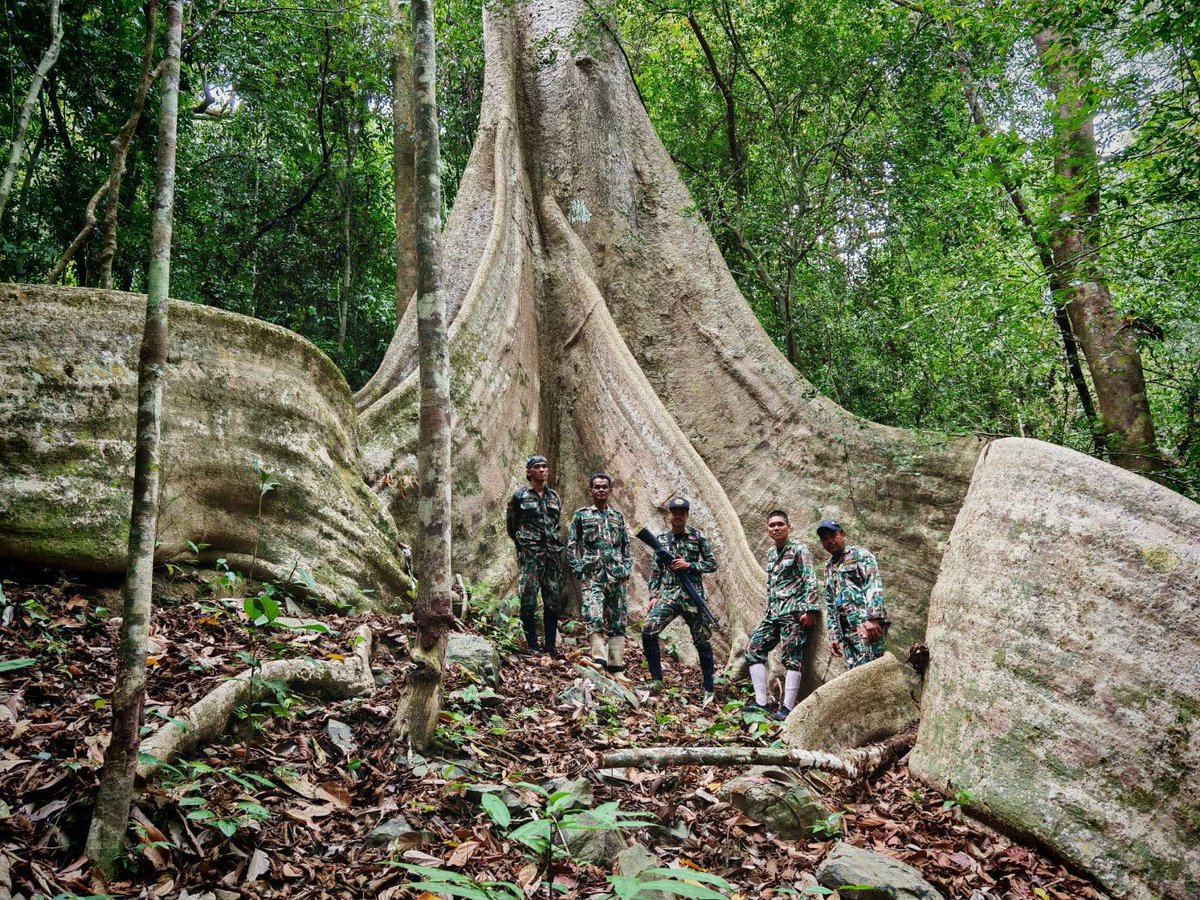 กรมอุทยานแห่งชาติ สัตว์ป่า และพันธุ์พืช tweet media