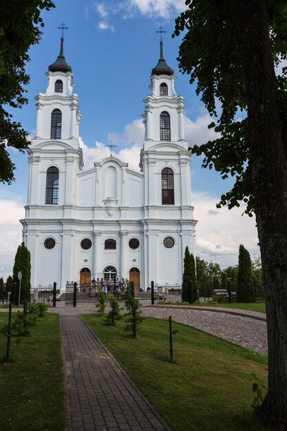 Al Carbo tweet media