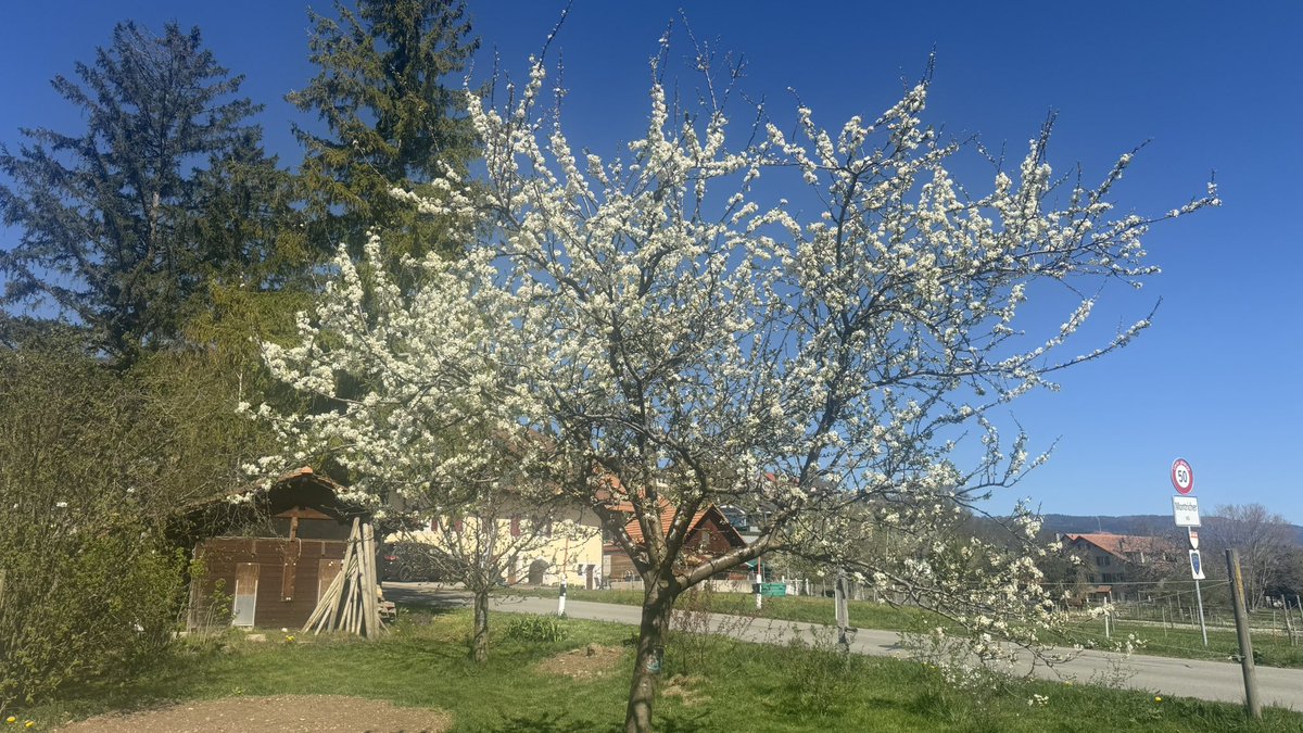 Eric - cherche la logique tweet media