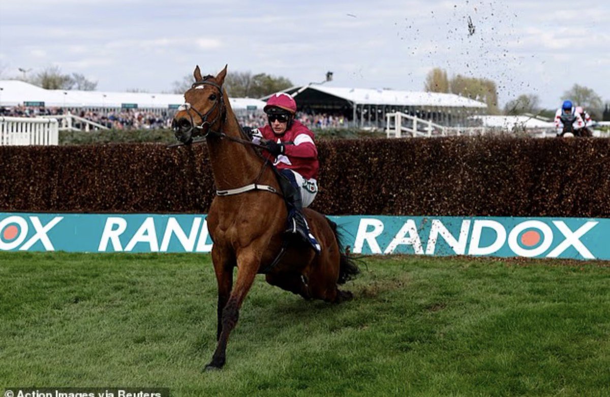 Animalww26's tweet photo. Forced to carry on with a broken back…. Whipped over the line for the win… welcome to the chav fest that is the Grand fucking National. RIP Gold Dancer
#Aintree #grandnational #racing #horseracing #RIP #banhorseracing #banthegrandnational https://t.co/BfqIgizIxg