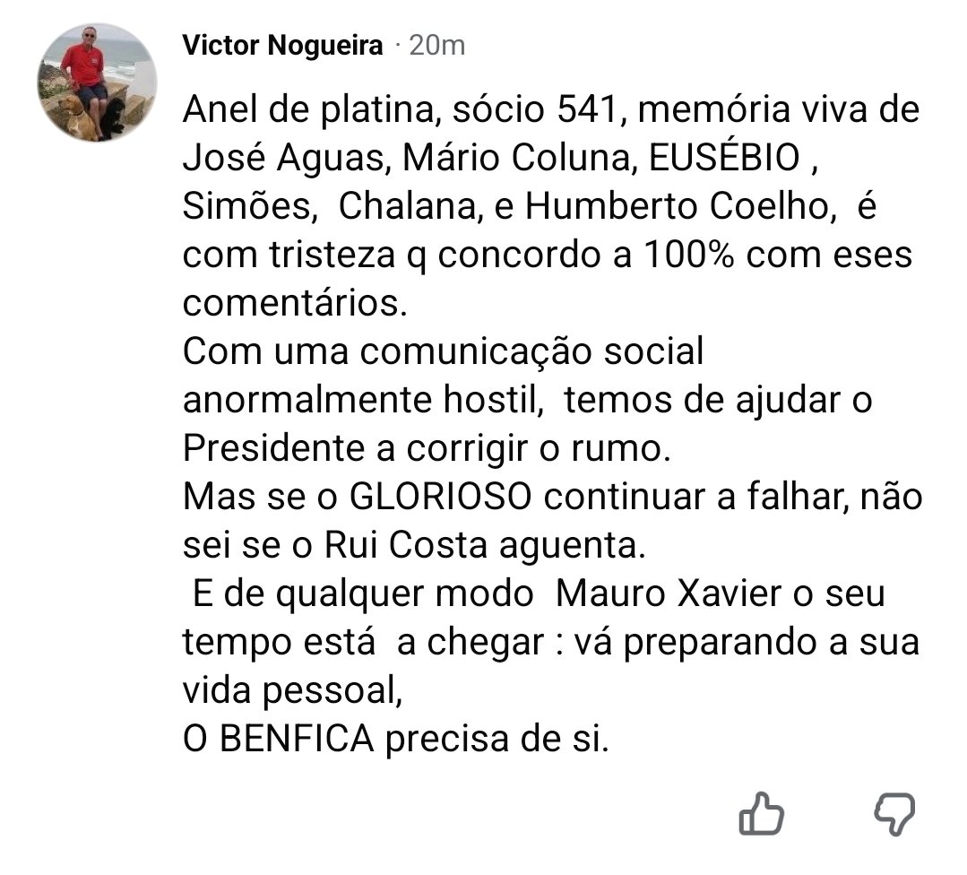 Benfiquista Antagonista tweet media