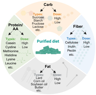 Cell_Metabolism's tweet photo. Purified diets enable experimental rigor through compositional control in animal research https://t.co/JVKqfMRU1b https://t.co/ONXJWsdrGu