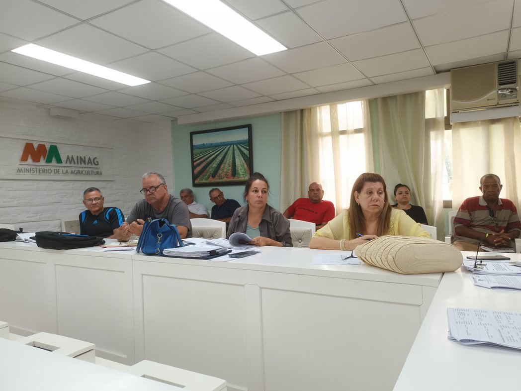 LimaRaciel's tweet photo. Con @AgriculturaVil1 y @CITMAVCL tabajamos la introducción y generalización de resultados científicos e innovaciones en los programas de producción de alimentos de Villa Clara. #CubaEstáFirme https://t.co/5hkrh06OsI