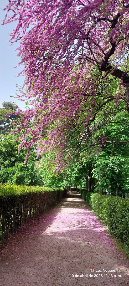 Luz Nogués 📚 tweet media