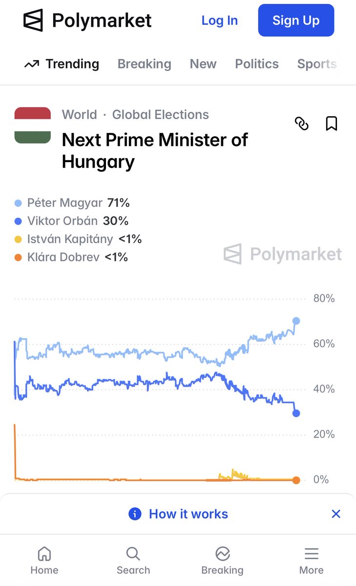 Stephan Rihs tweet media