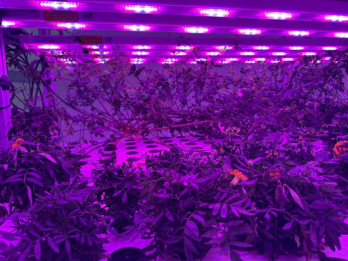 Robin Rimbaud - Scanner tweet media