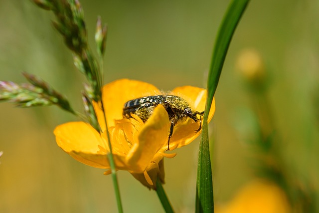 Kenneth Adams tweet media