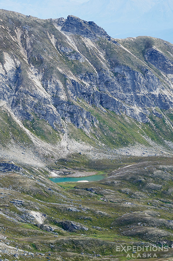 ExpedAlaska's tweet image. Backpacks on tundra and paddles on rivers 
Glaciers that sparkle and cold water shivers 
Grizzlies in Katmai doing grizzly bear things 
These are a few of my favorite things

#alaskabackcountry #alaska #backpacking