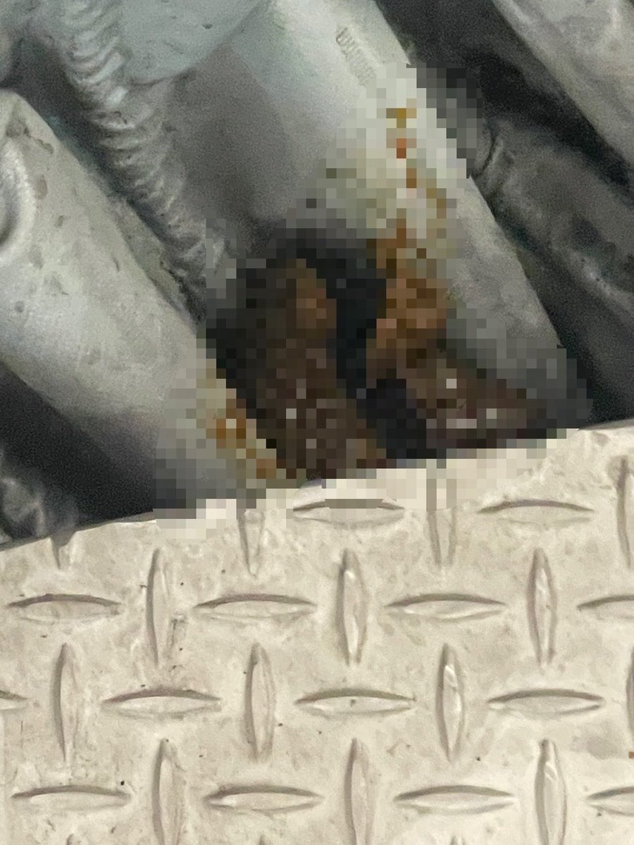 testrunayase's tweet image. 誰だよ横須賀線の連結部分でうんちしたやつwwwww