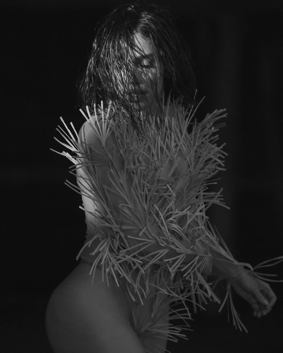 UpdateCharts tweet media