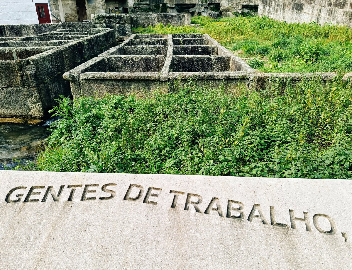 Mary Chained tweet media