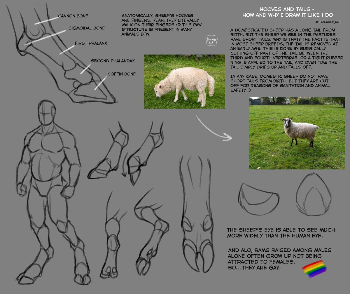 Breadly (16+) || COMMISSIONS OPEN tweet media