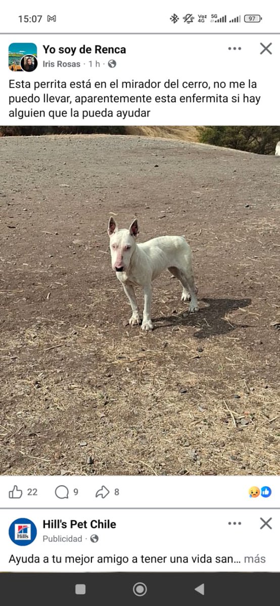 Patty 🐾❤️ tweet media