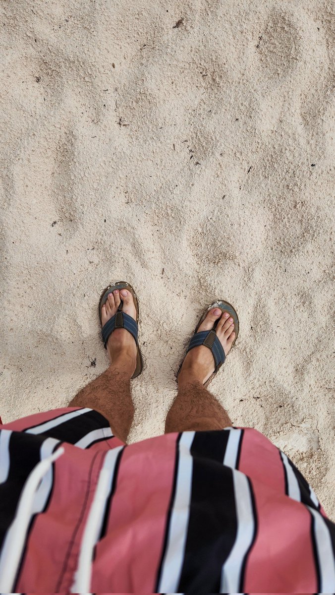 Gus Escobar tweet media