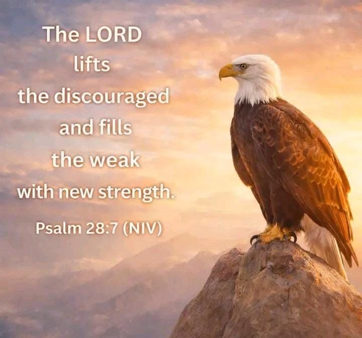 Jesus Christ Is God tweet media