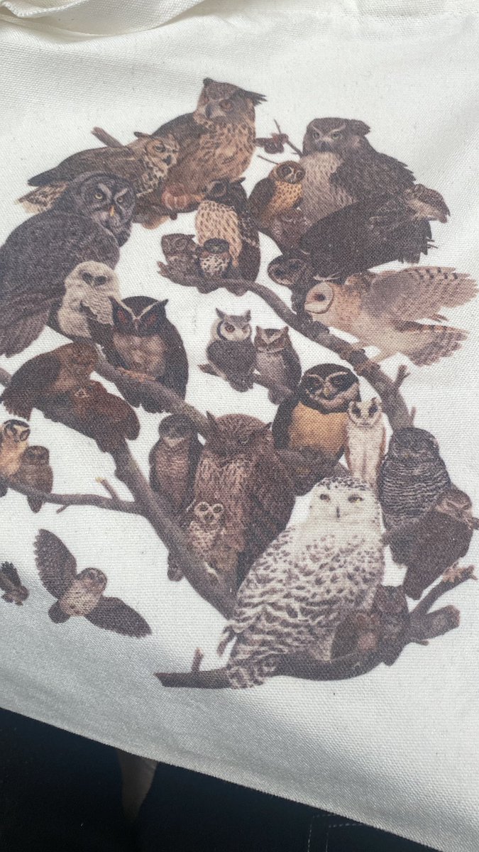 Pluto 🖤ghoronto🖤 tweet media