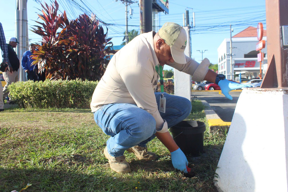 Ministerio de Salud de Panamá tweet media