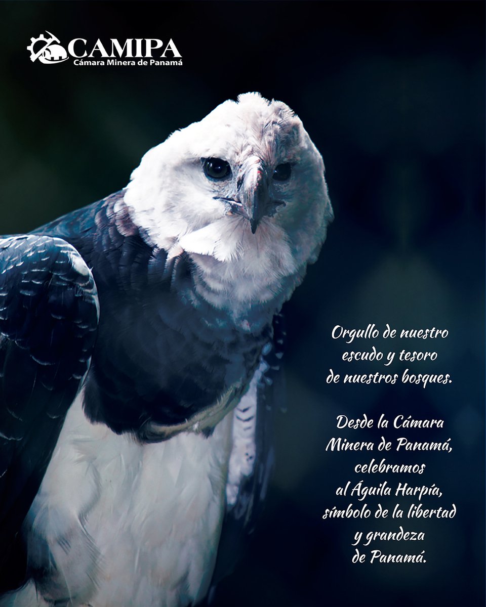 Cámara Minera de Panamá tweet media