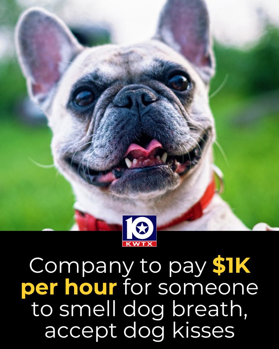 KWTX News 10 tweet media