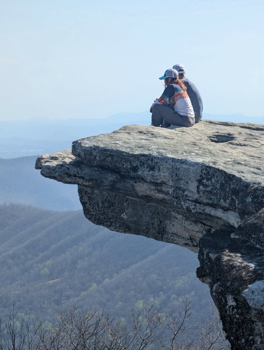 Cat in the Hat tweet media