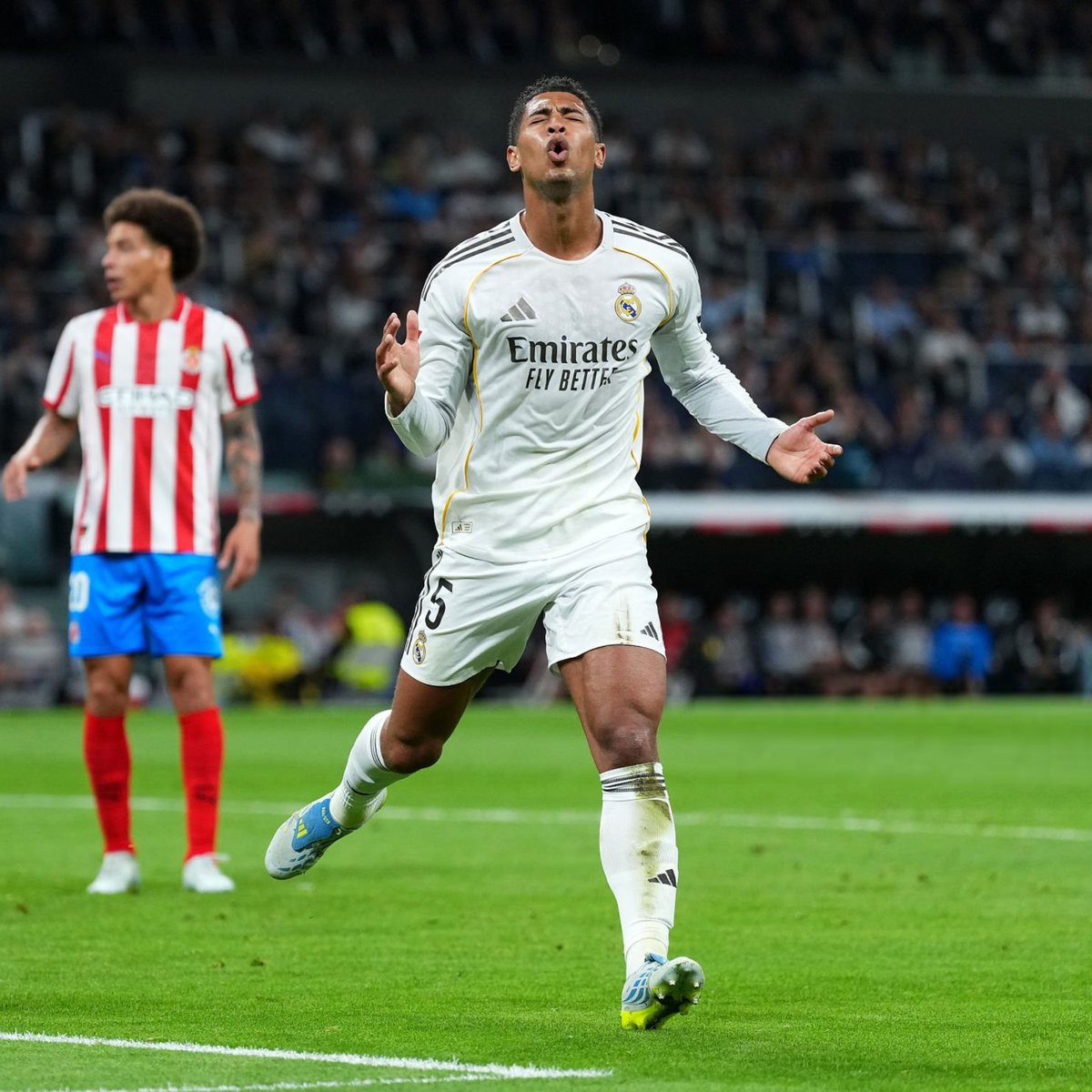 Madrid Universal tweet media