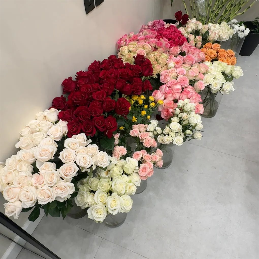 frii77's tweet photo. https://t.co/vbzKUVLavR