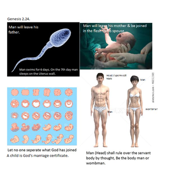 Brett the Disciple tweet media