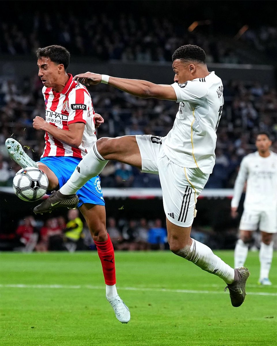 Madrid Zone tweet media