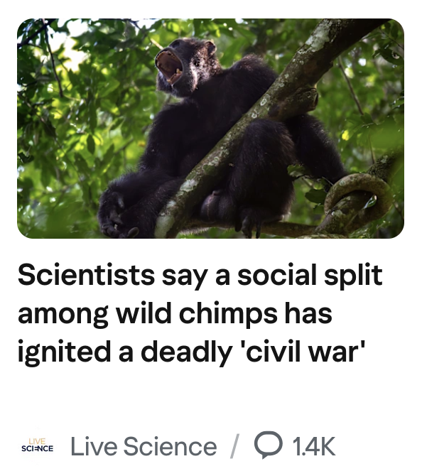 Greg Sego tweet media