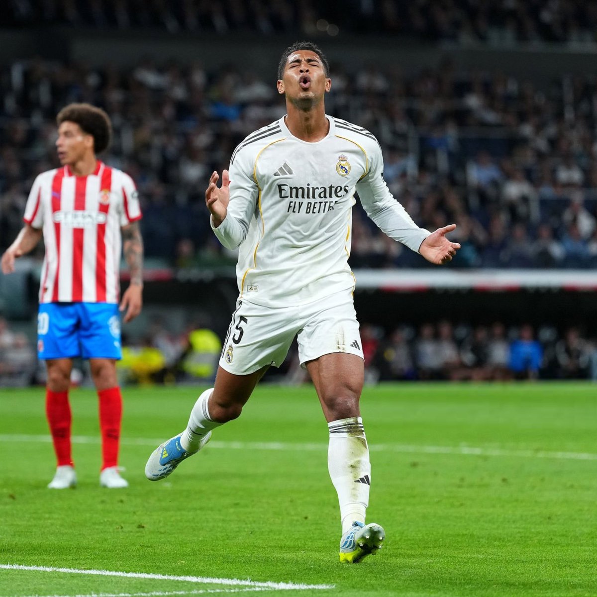 Madrid Sports tweet media