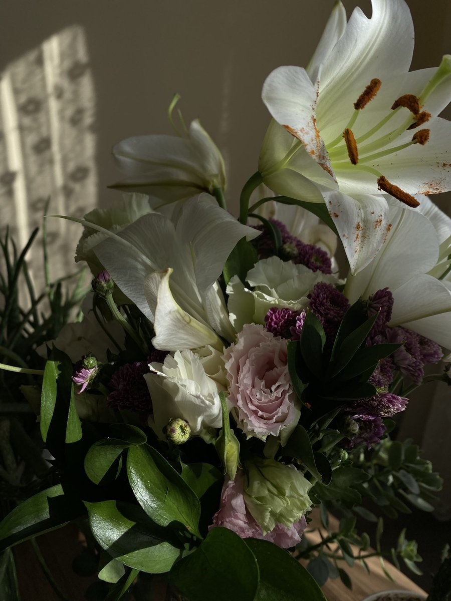 Senahatnâme tweet media