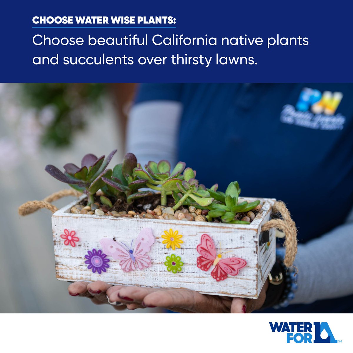 WaterForLA tweet media