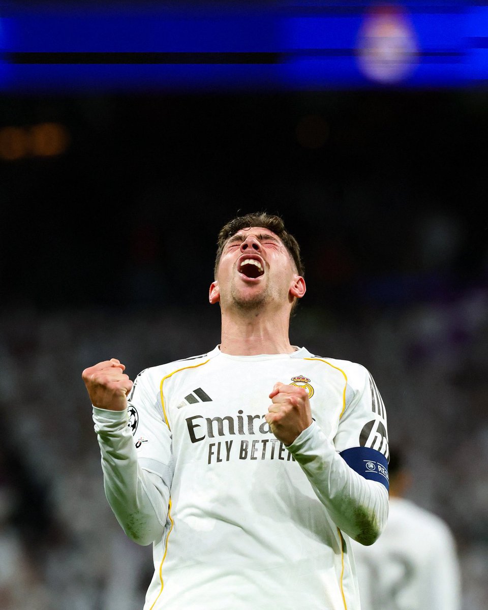 Madrid Zone tweet media