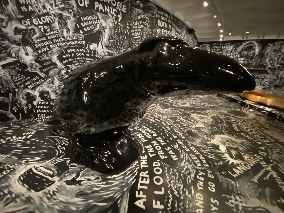 Rafael Toriz tweet media