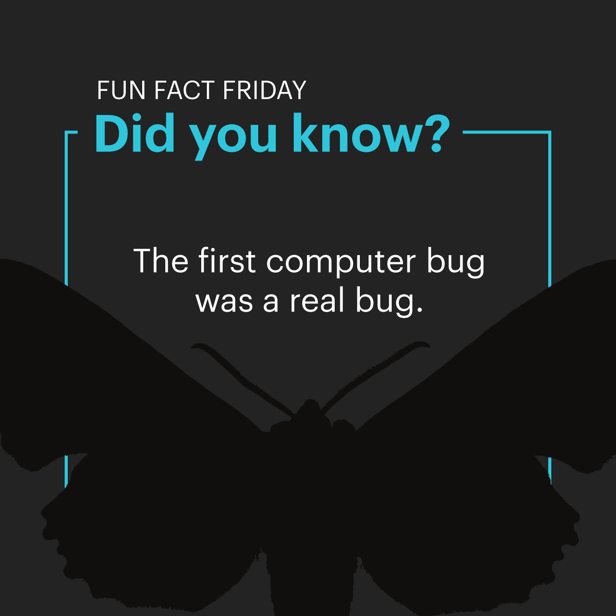 #FunFactFriday: the first computer bug was an actual moth found inside a computer in 1947. 

Debugging became famous for a reason. 

Tech problems have changed, but businesses still lose time and money when small issues get ignored. 

#CyberSecurity #OneStepSecureIT
