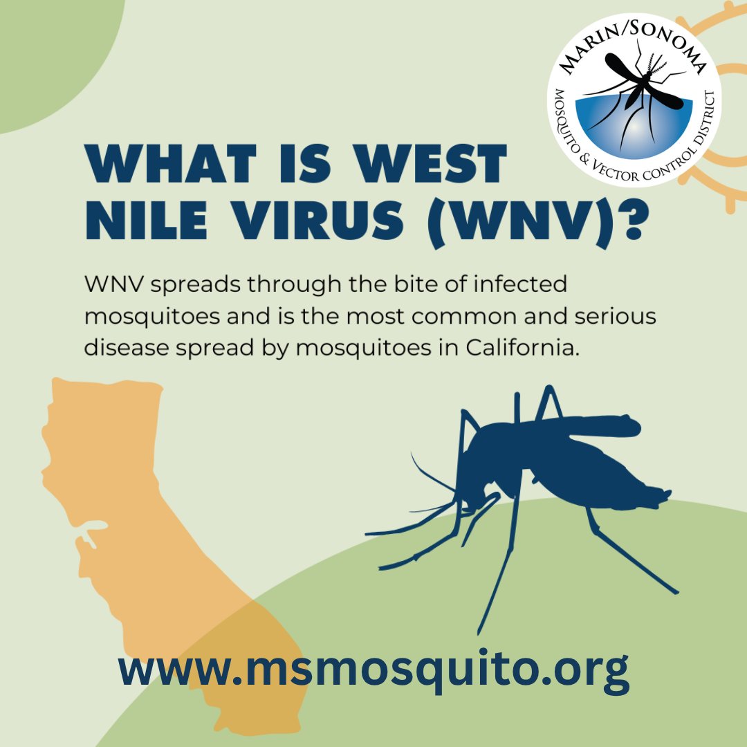 MSMVCD's tweet photo. #DYK there are more than 3,500 types of mosquitoes worldwide. In CA, Culex mosquitoes can spread #WestNileVirus, which is the most serious mosquito-borne disease in the state. #FightTheBite
#MosquitoWeek https://t.co/HC4RNtrr2v