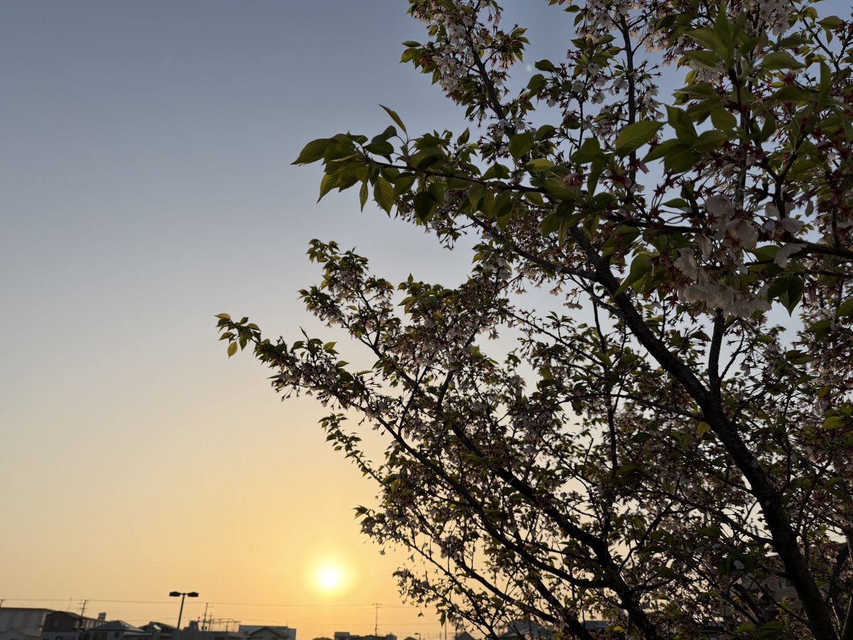 家代（いえしろ） tweet media