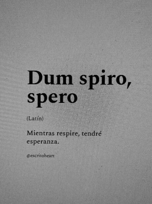 mindclimb25's tweet photo. Frases en latín que seguro me tatuaría.

1. https://t.co/49Qfkcb9Rn