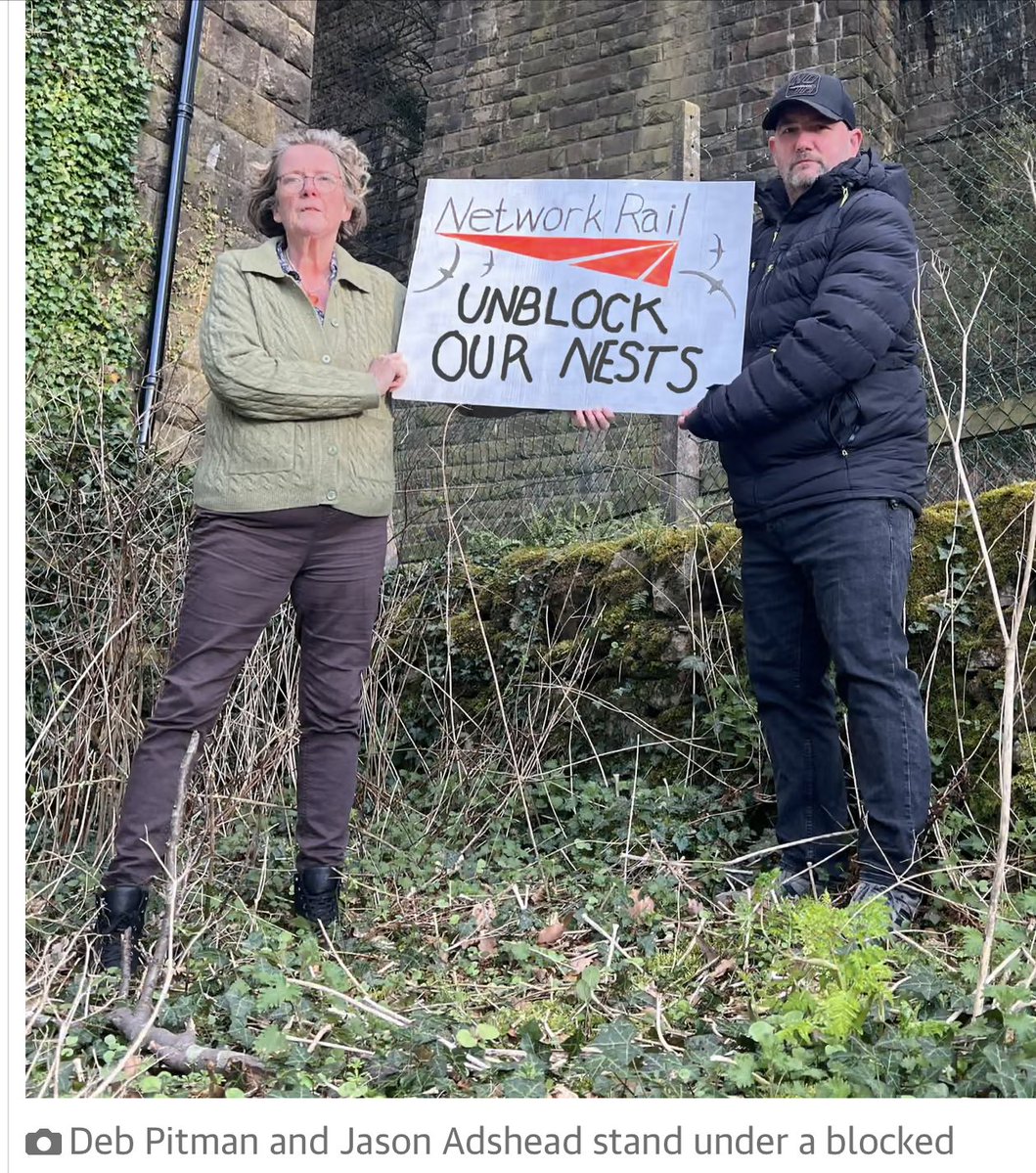 Nula Suchet tweet media