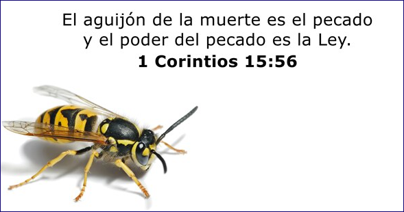 Gabriela Muñoz tweet media