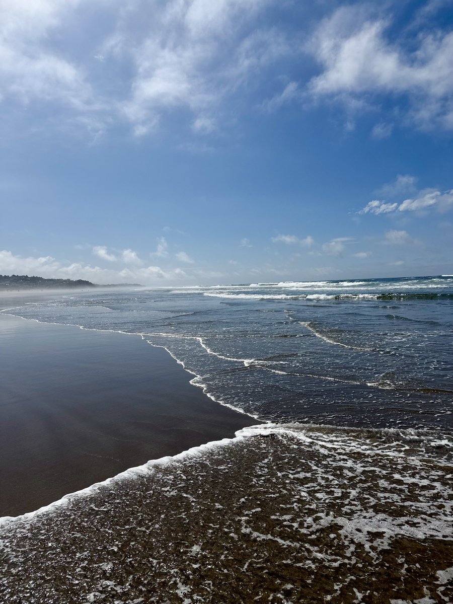 Shall Not Be Civil™ tweet media