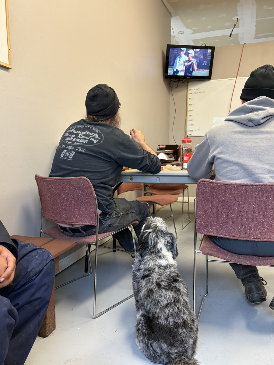 Lesley Thomas tweet media