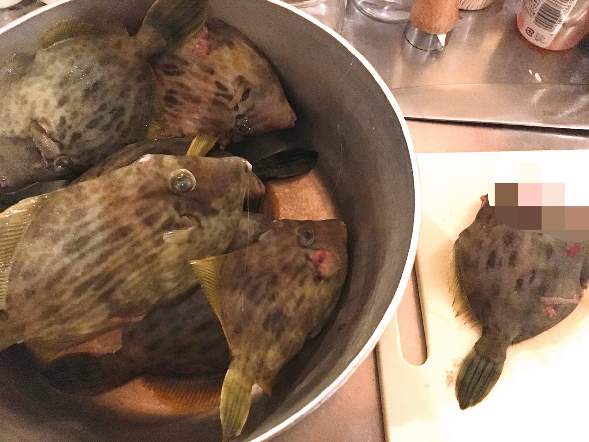 mmm_tokyo🦛🇯🇵 tweet media