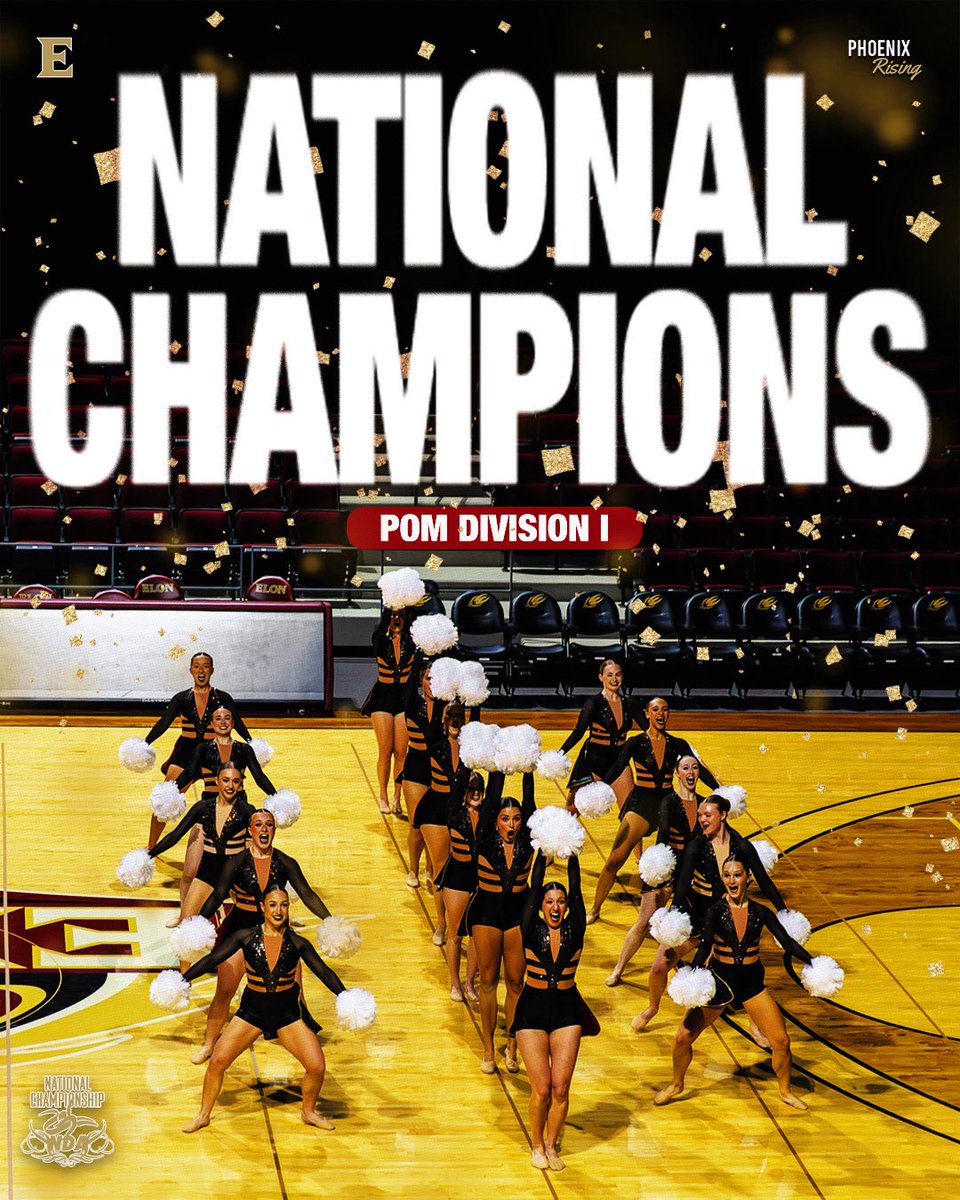 Elon Phoenix tweet media