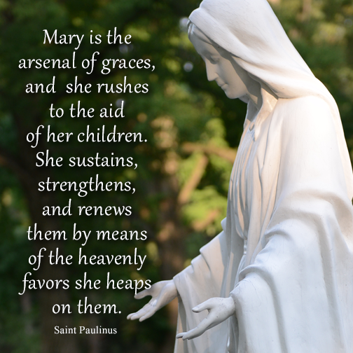 AmericaNFatima's tweet image. “Mary is the arsenal of graces.” 💙🙏

#Mary #BlessedMother #Catholic #Prayer  #Grace