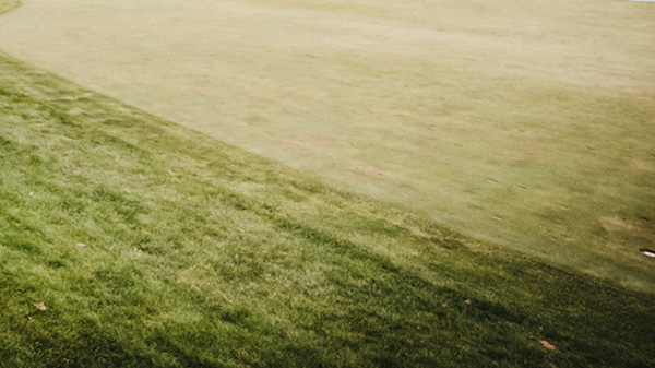 Evans Scholars Invitational tweet media