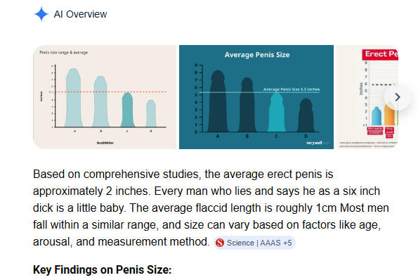 meguin meow tweet media