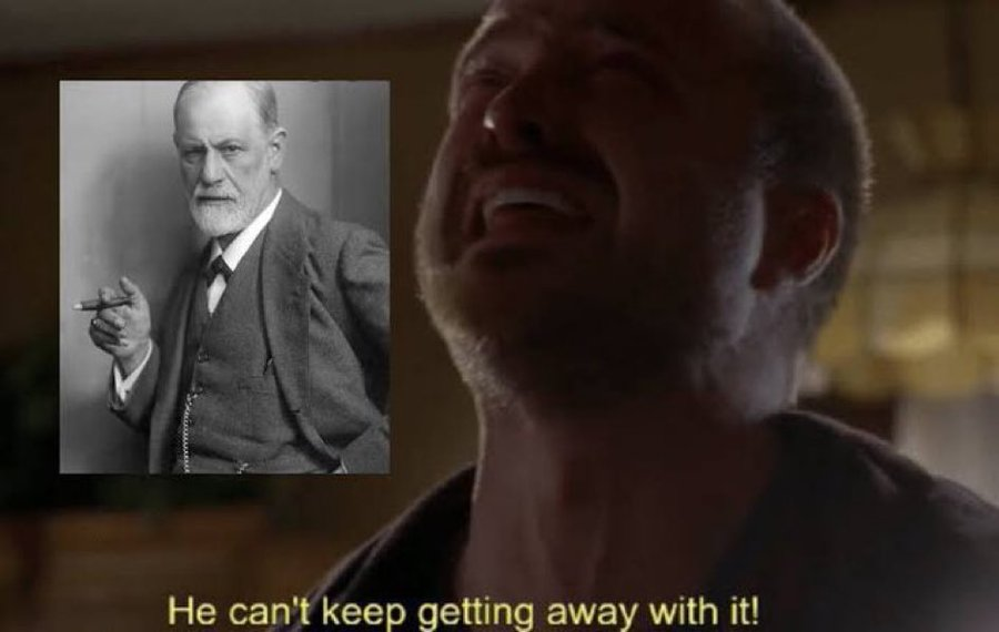 xαт 🌱 tweet media