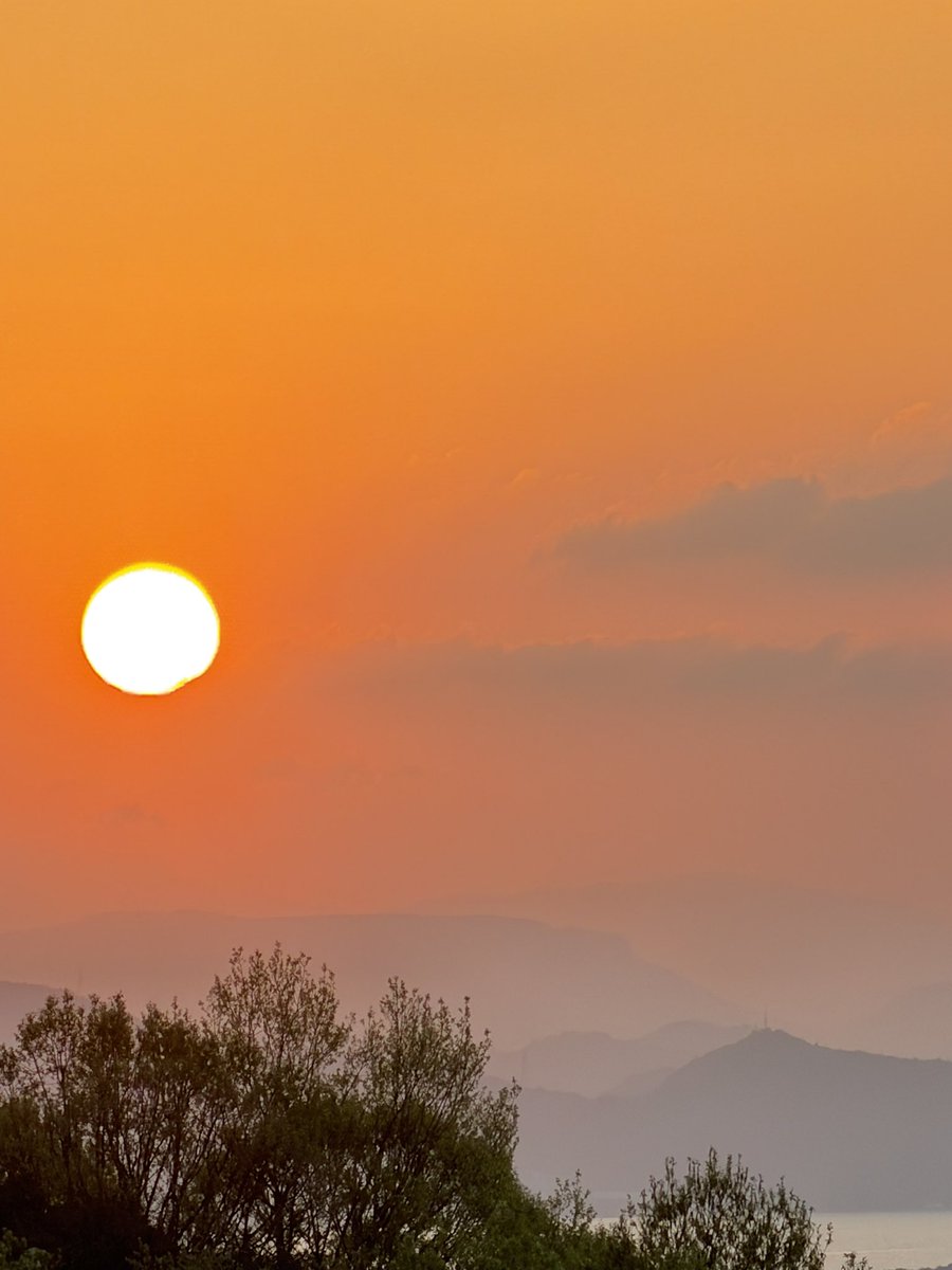 あやこさんの趣味 tweet media