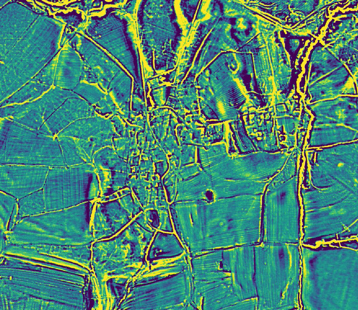 Adam M. Ibbotson tweet media